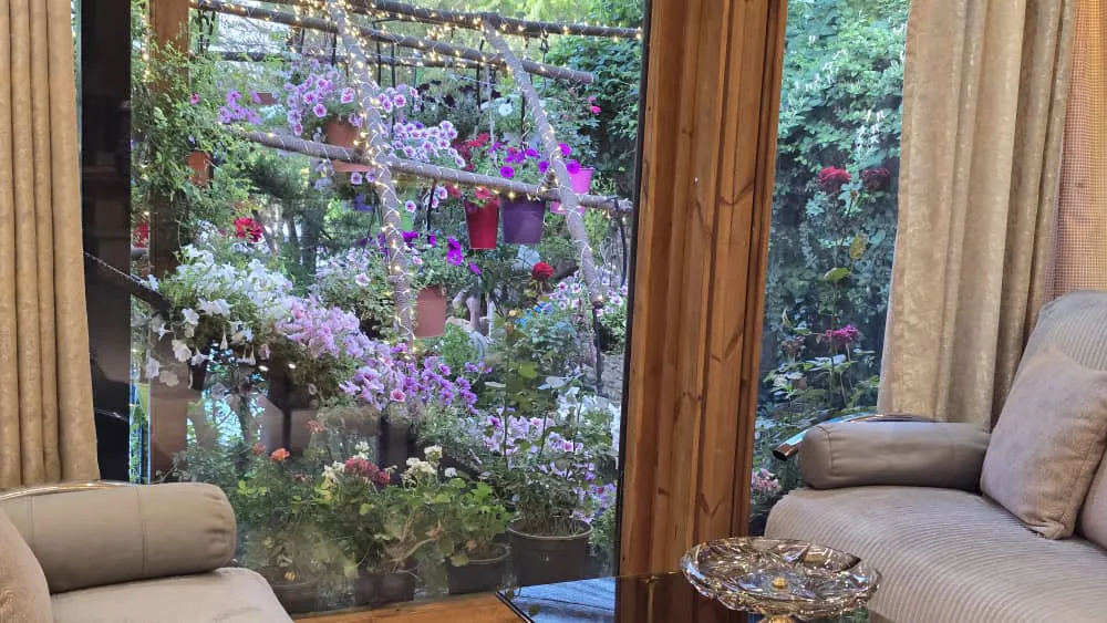 چهارخوابه رویایی دلوین 