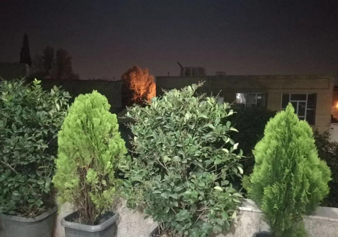 تک خوابه قدیری دلگشا 