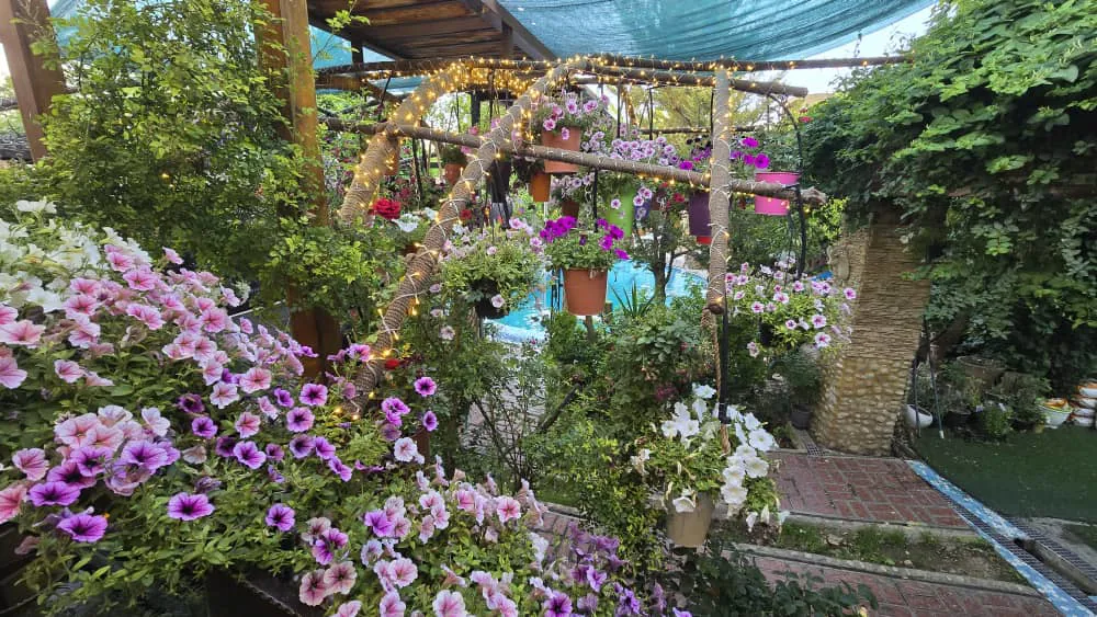 چهارخوابه رویایی دلوین 